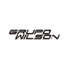 Logo de Grupo Wilson